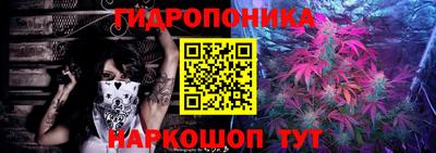 тгк Будённовск